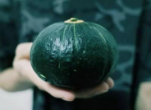 网红吃的软趴瓜是什么,软趴瓜的独特魅力与制作方法  第2张